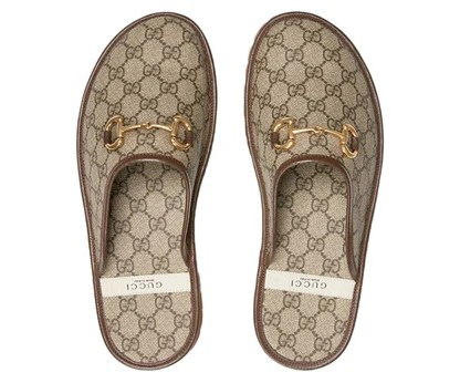 GUCCI Slipper ' Brown Beige '.